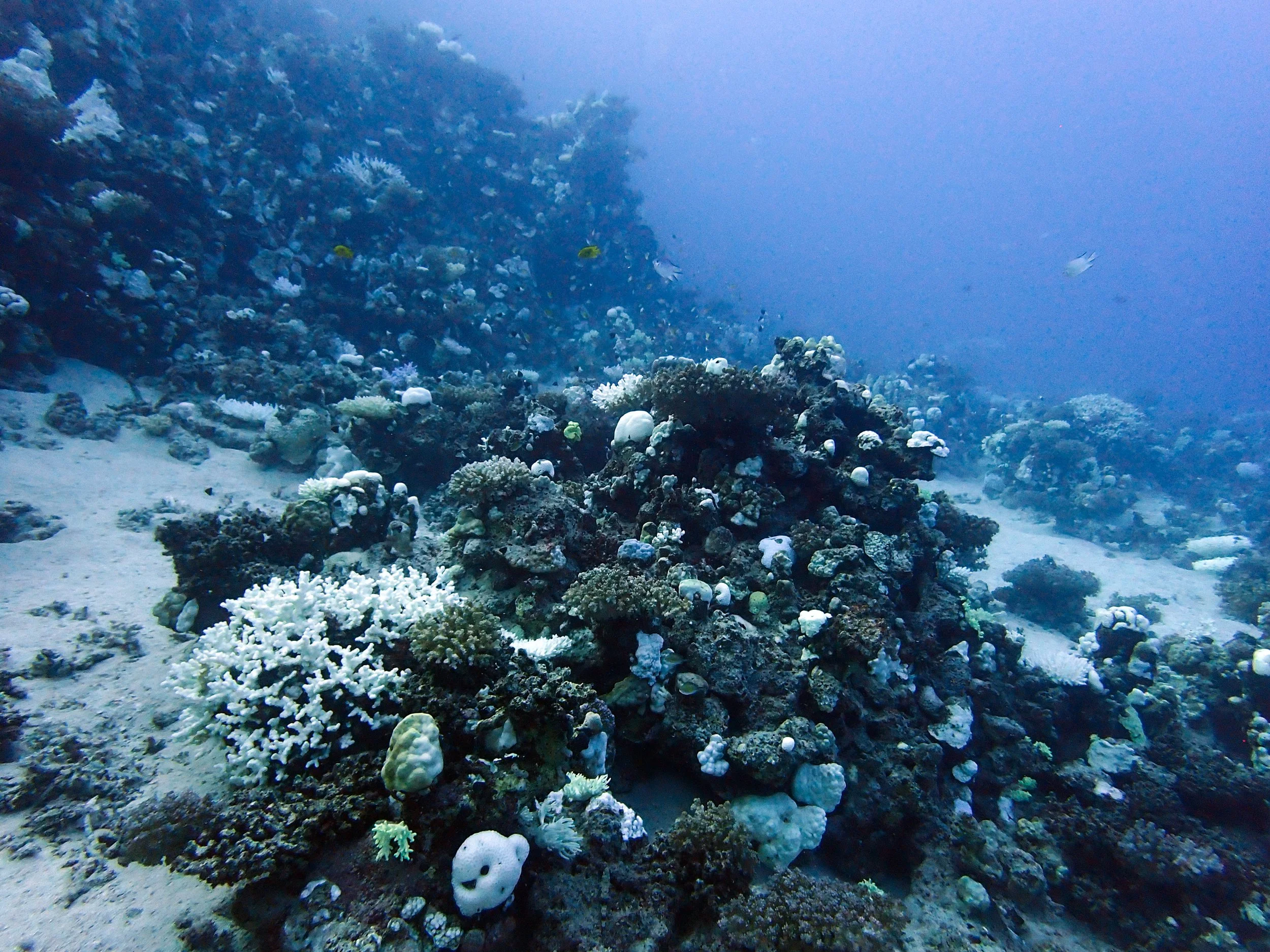 P9225628-edited.jpg