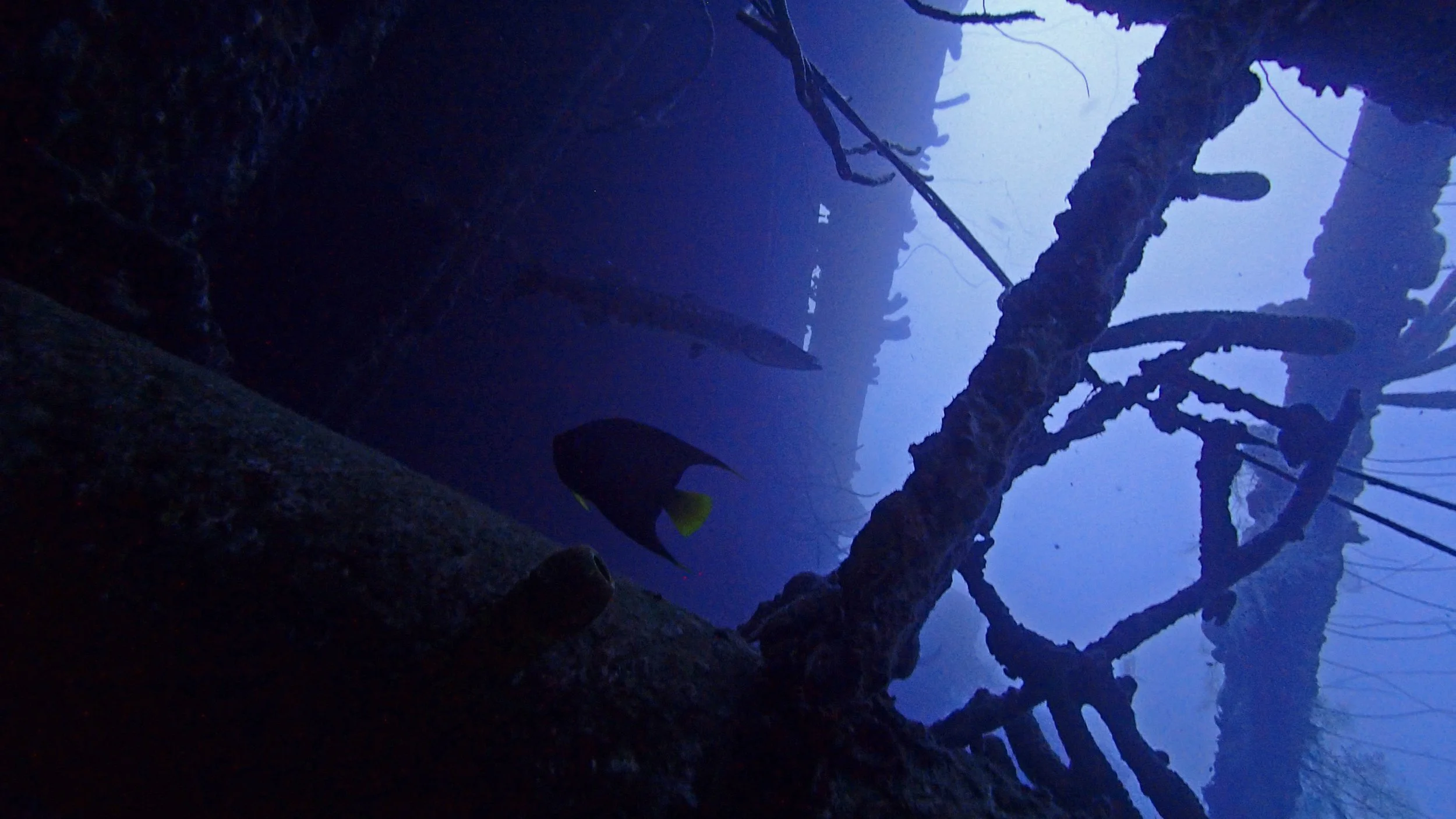 inside the hooker.jpg