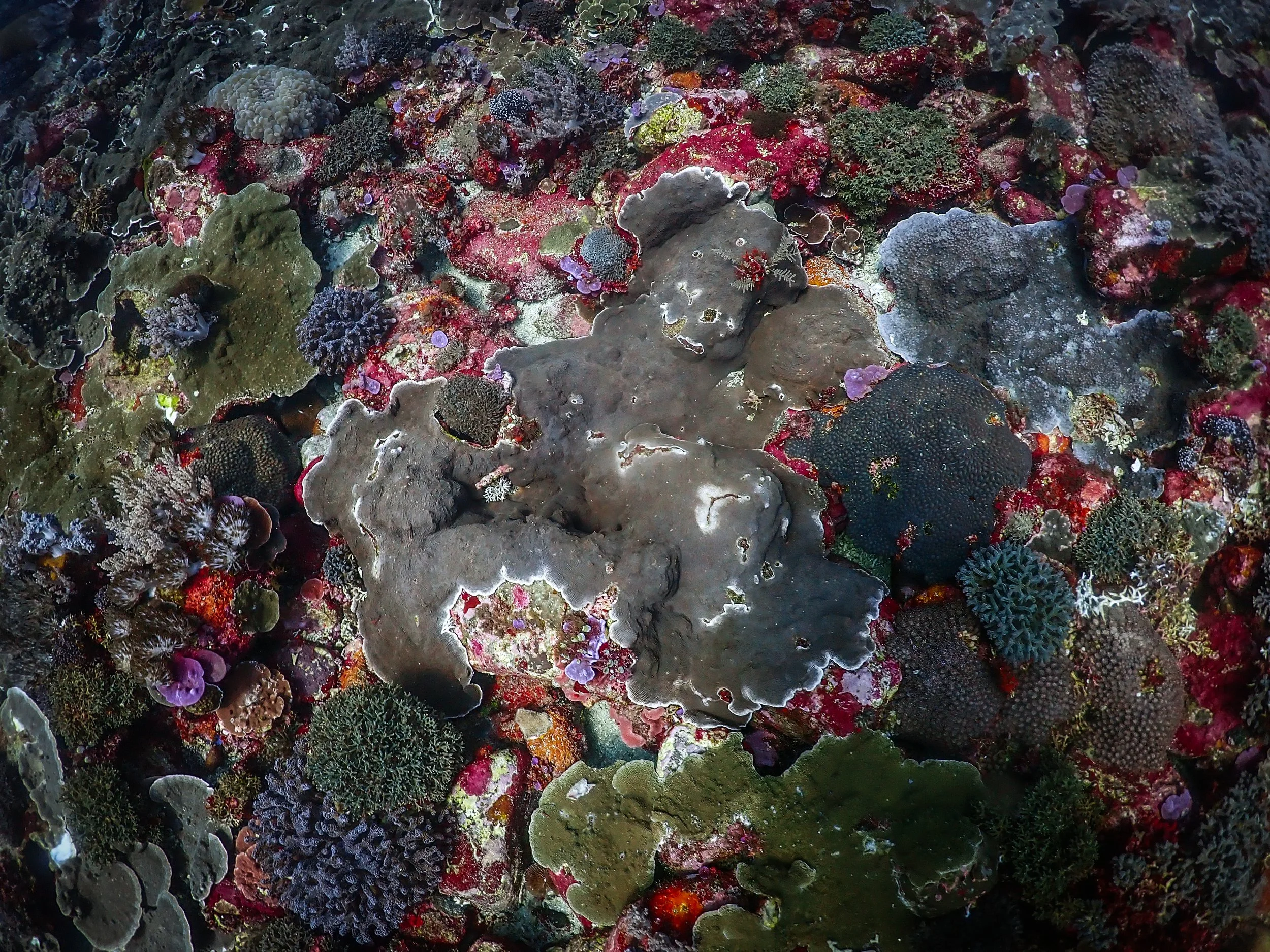 P7311358-edited.jpg