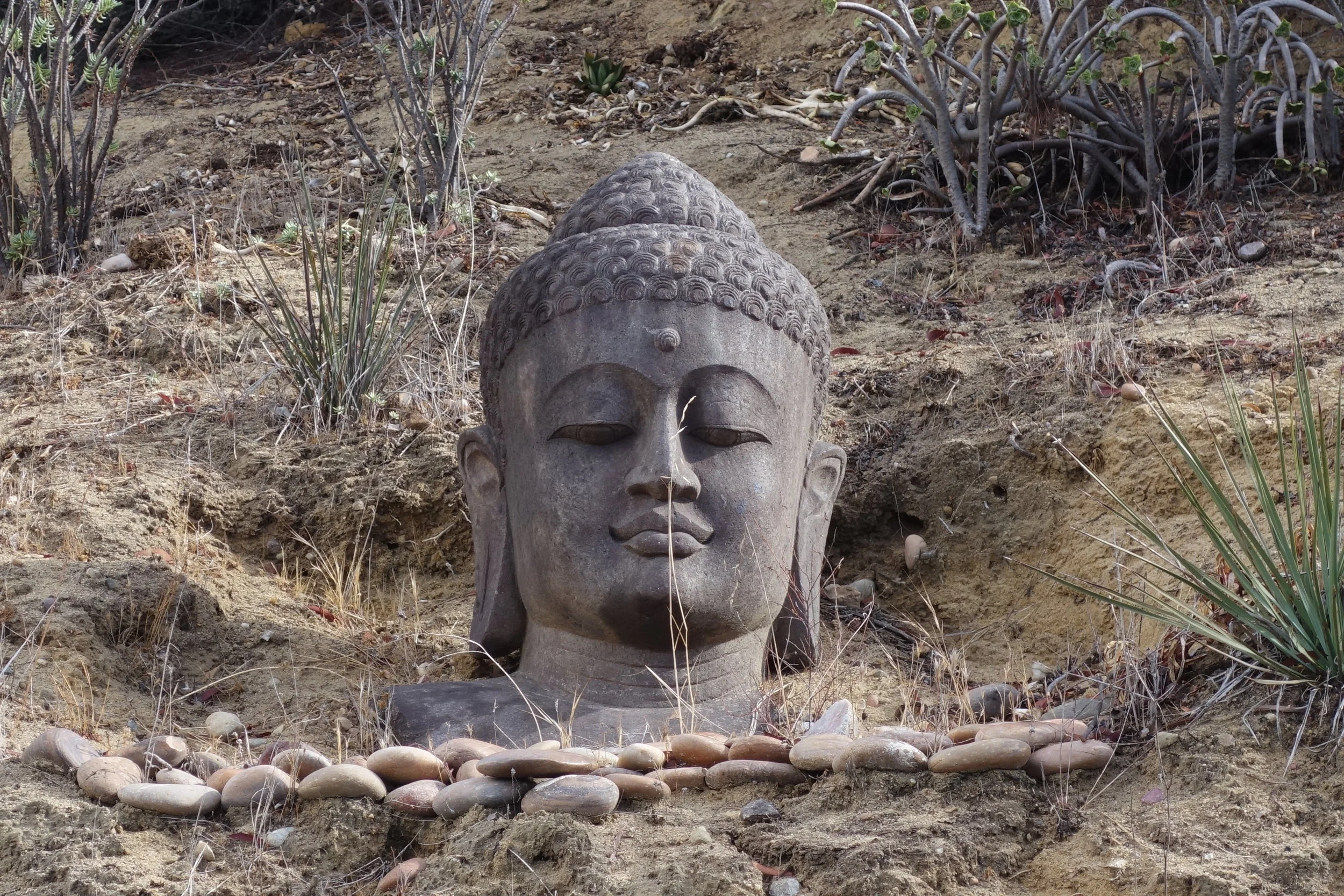 buddha1.JPG