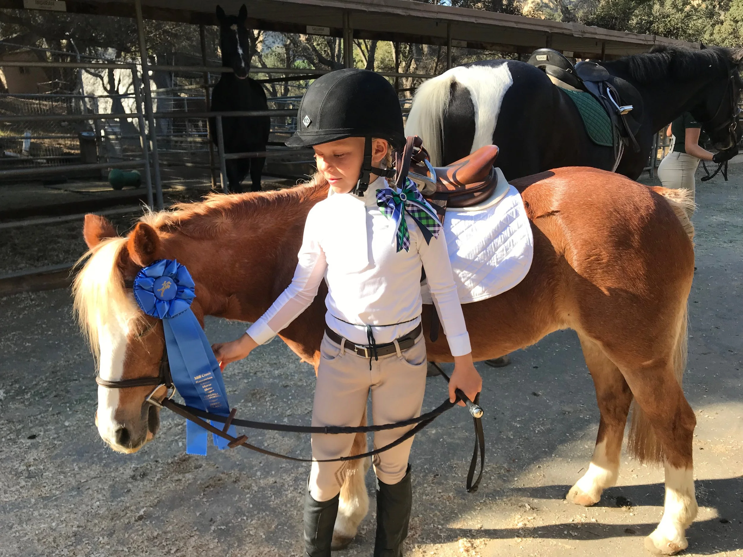 Cinnamon's Big Day Out!