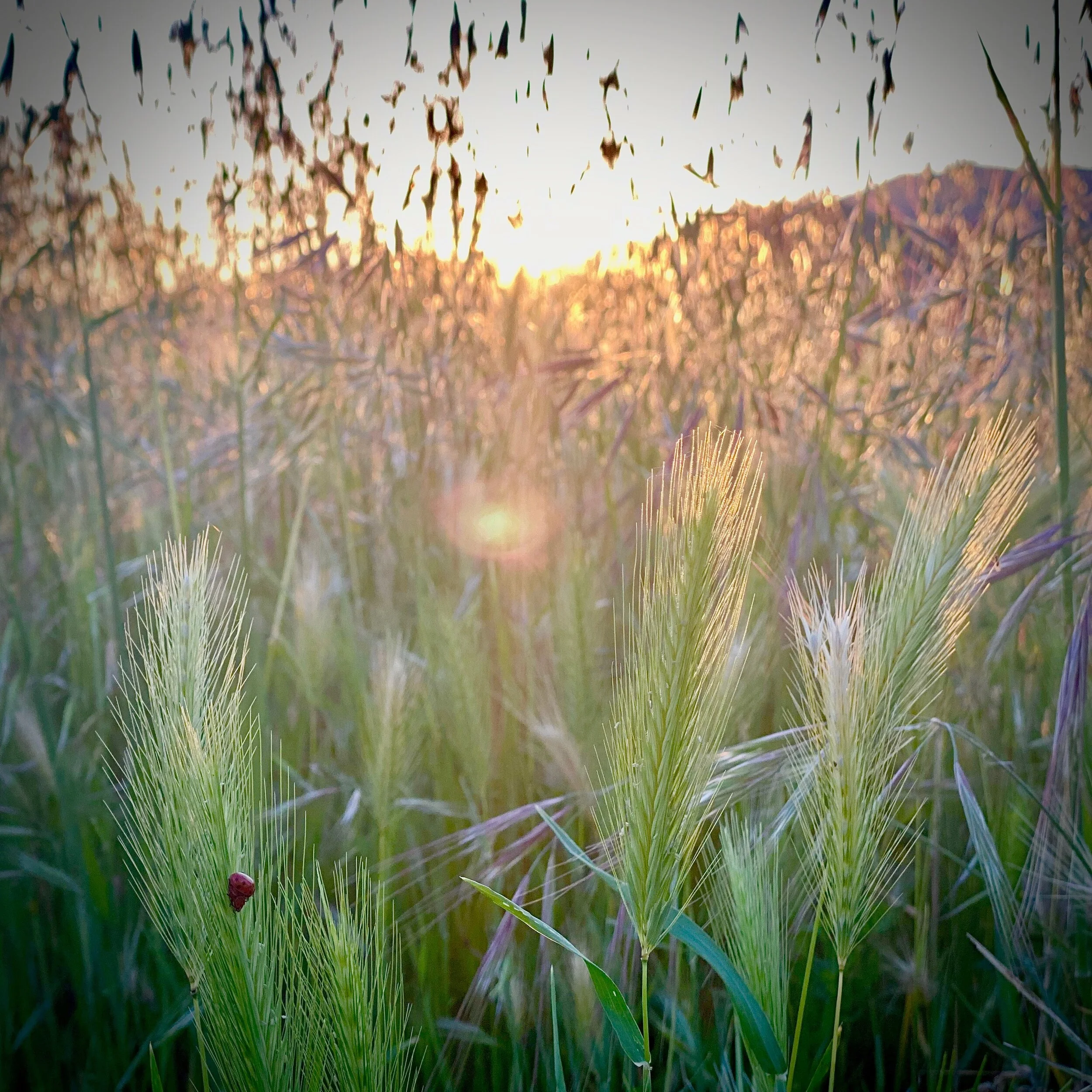 Preschool Video ~ Week 1