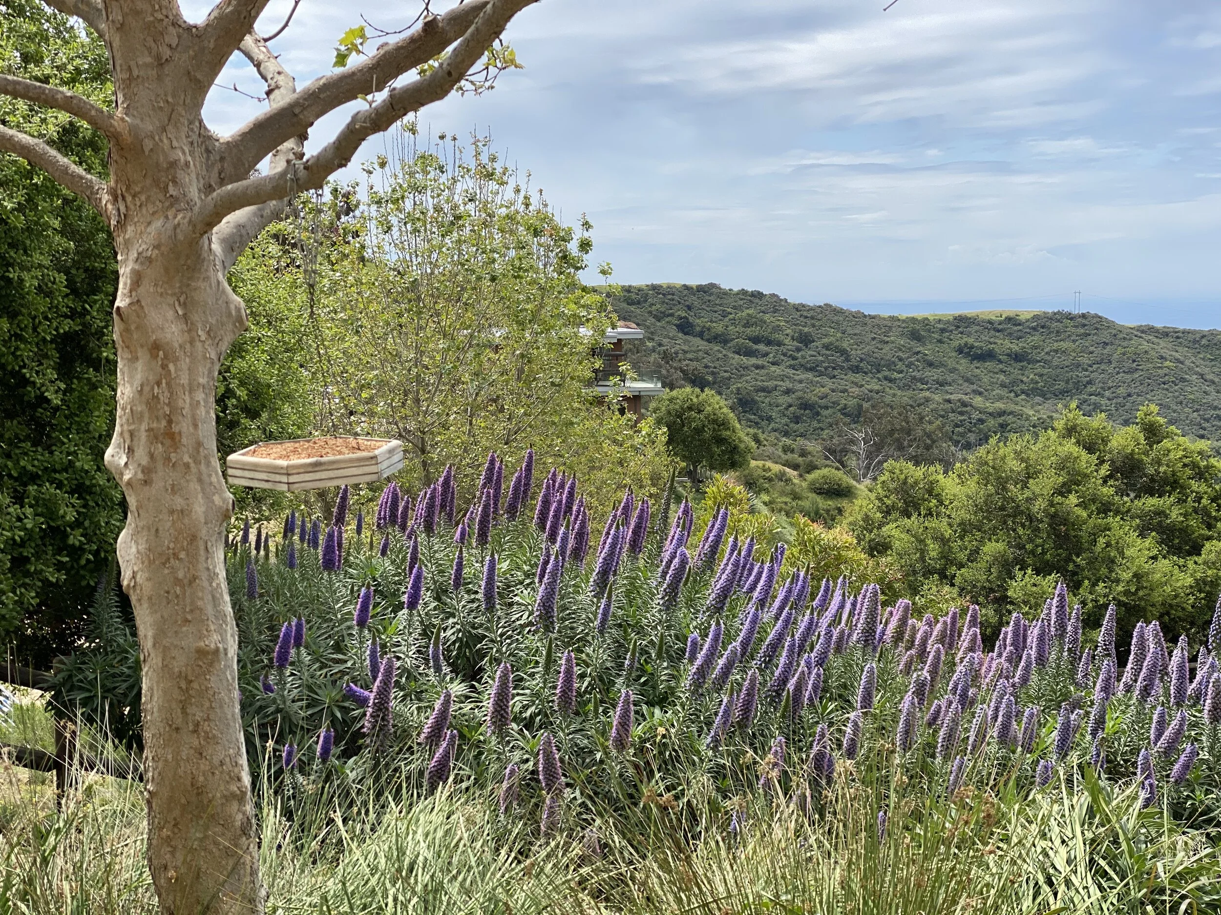 Preschool Video ~ Week 2