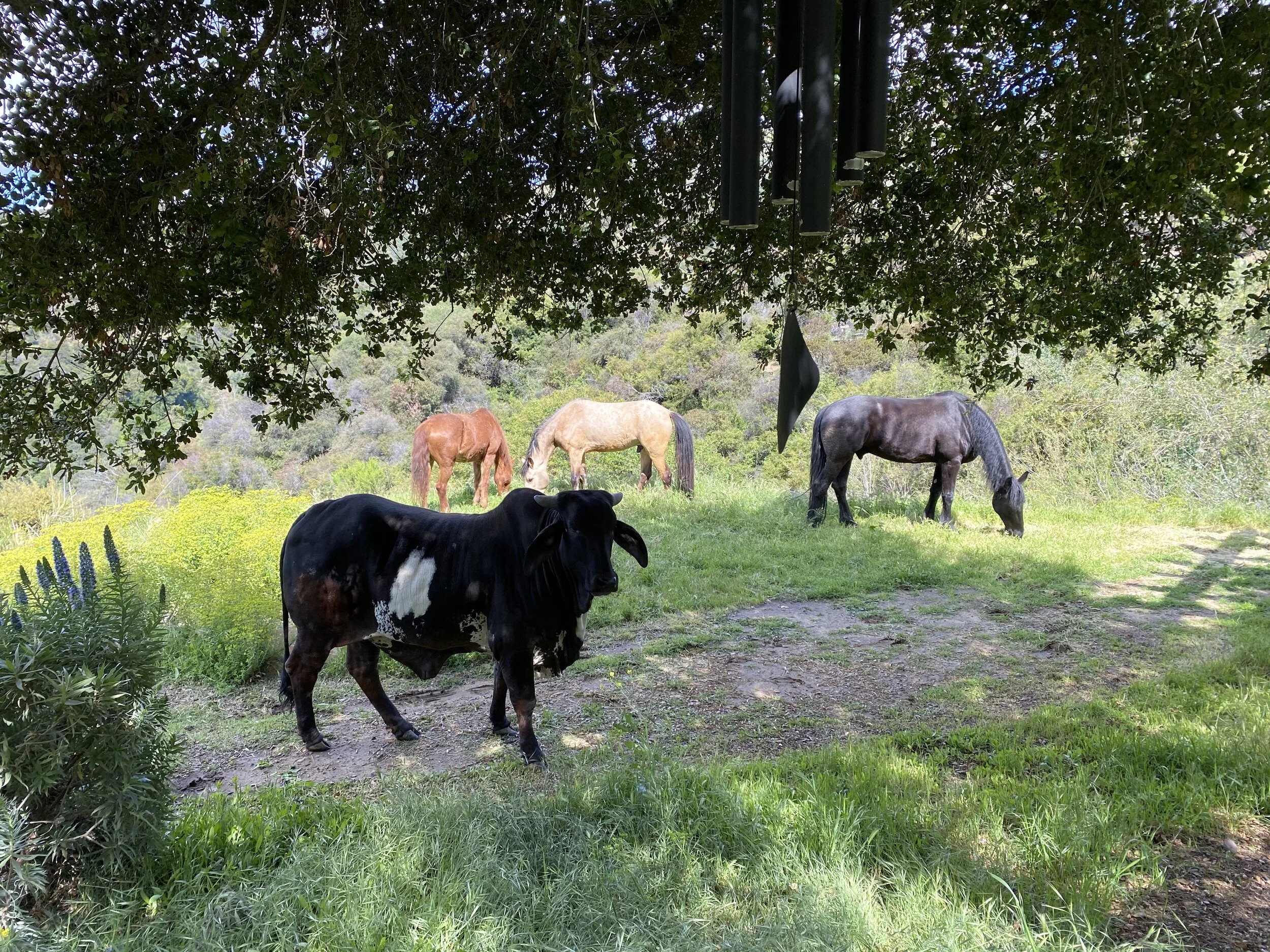 Preschool Video ~ Week 3