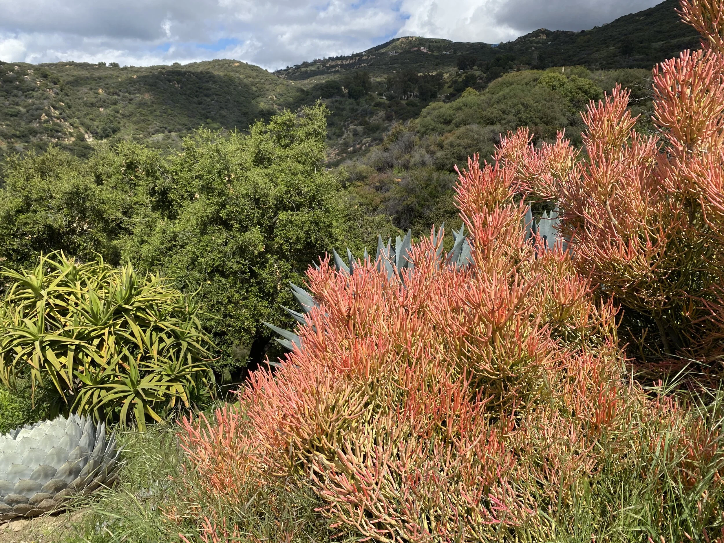 Preschool Video ~ Week 4