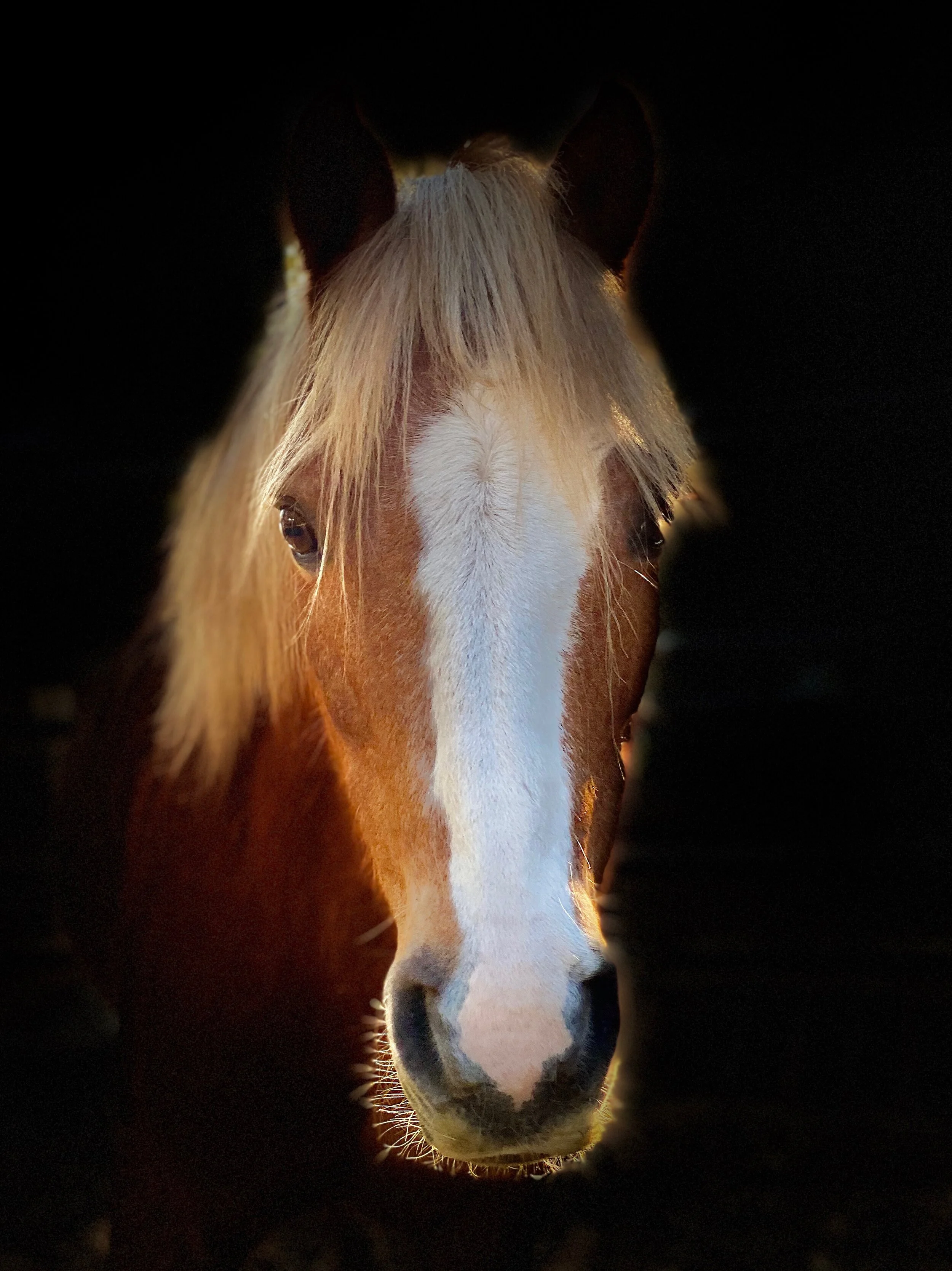 Preschool Video ~ Week 5