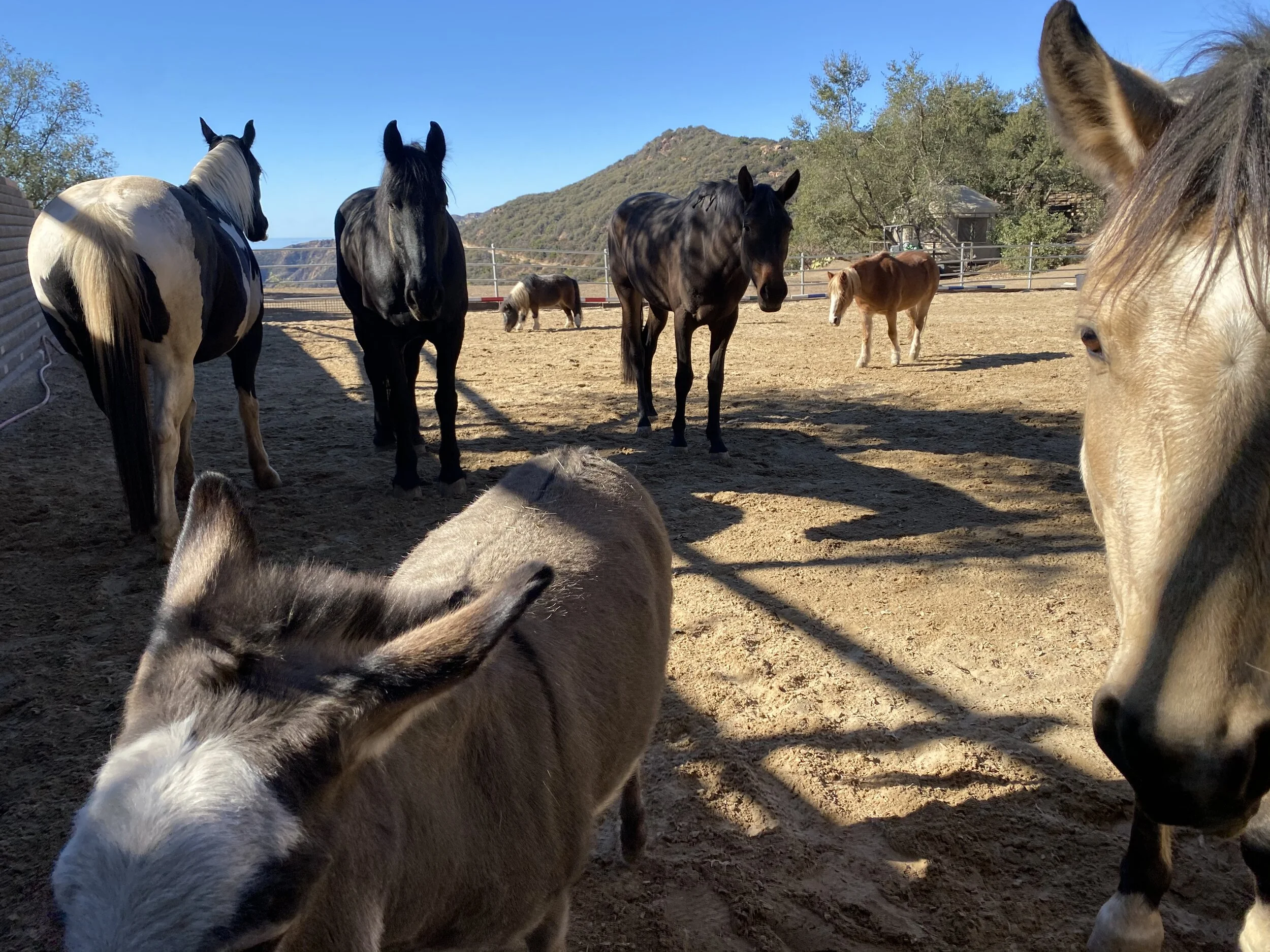 Instagram Time! 😀