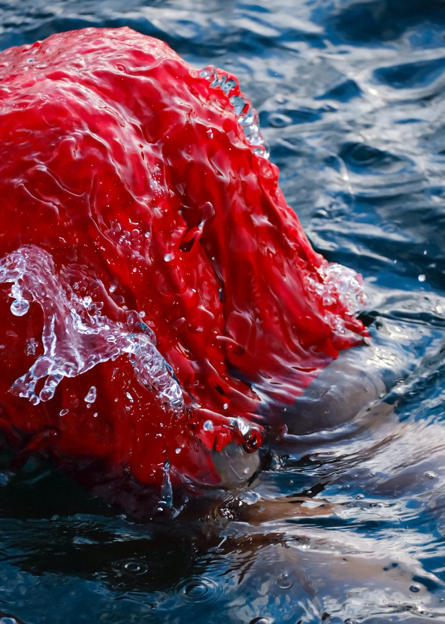 Norse Projects cred Xavier Aaronson-3.jpg