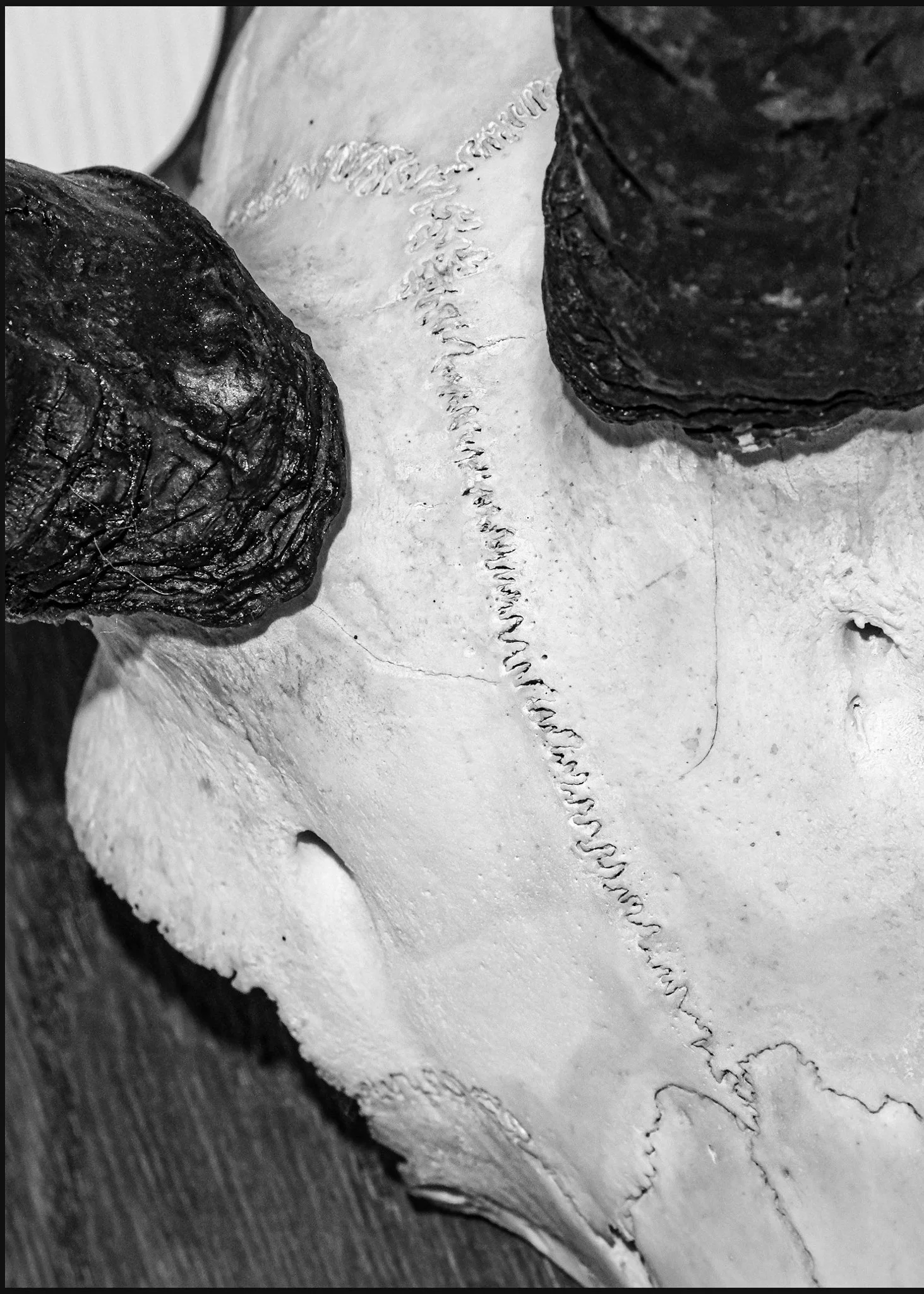 Blind Spot cred Xavier Aaronson.jpg