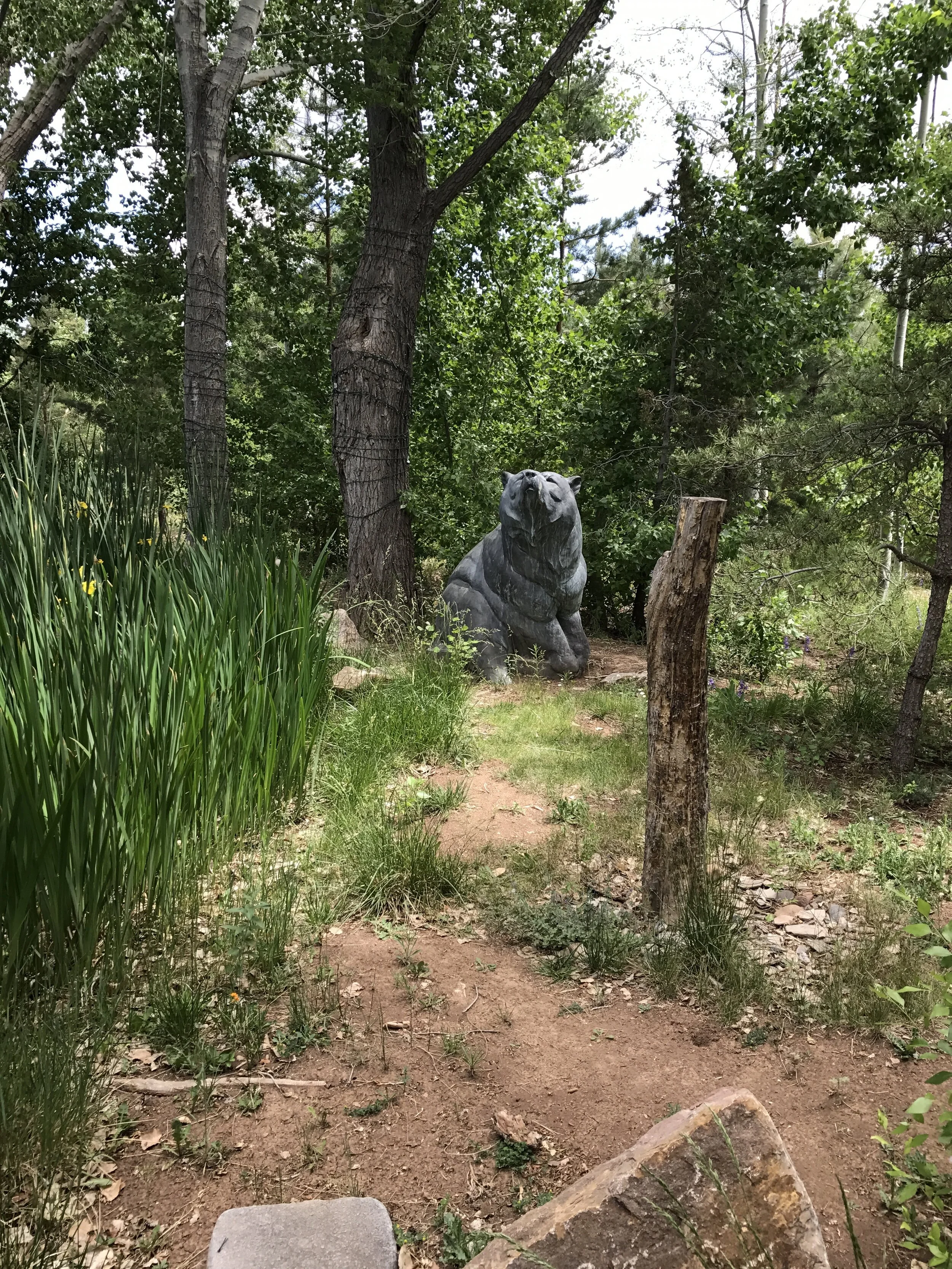 Part of Fenn's menagerie.