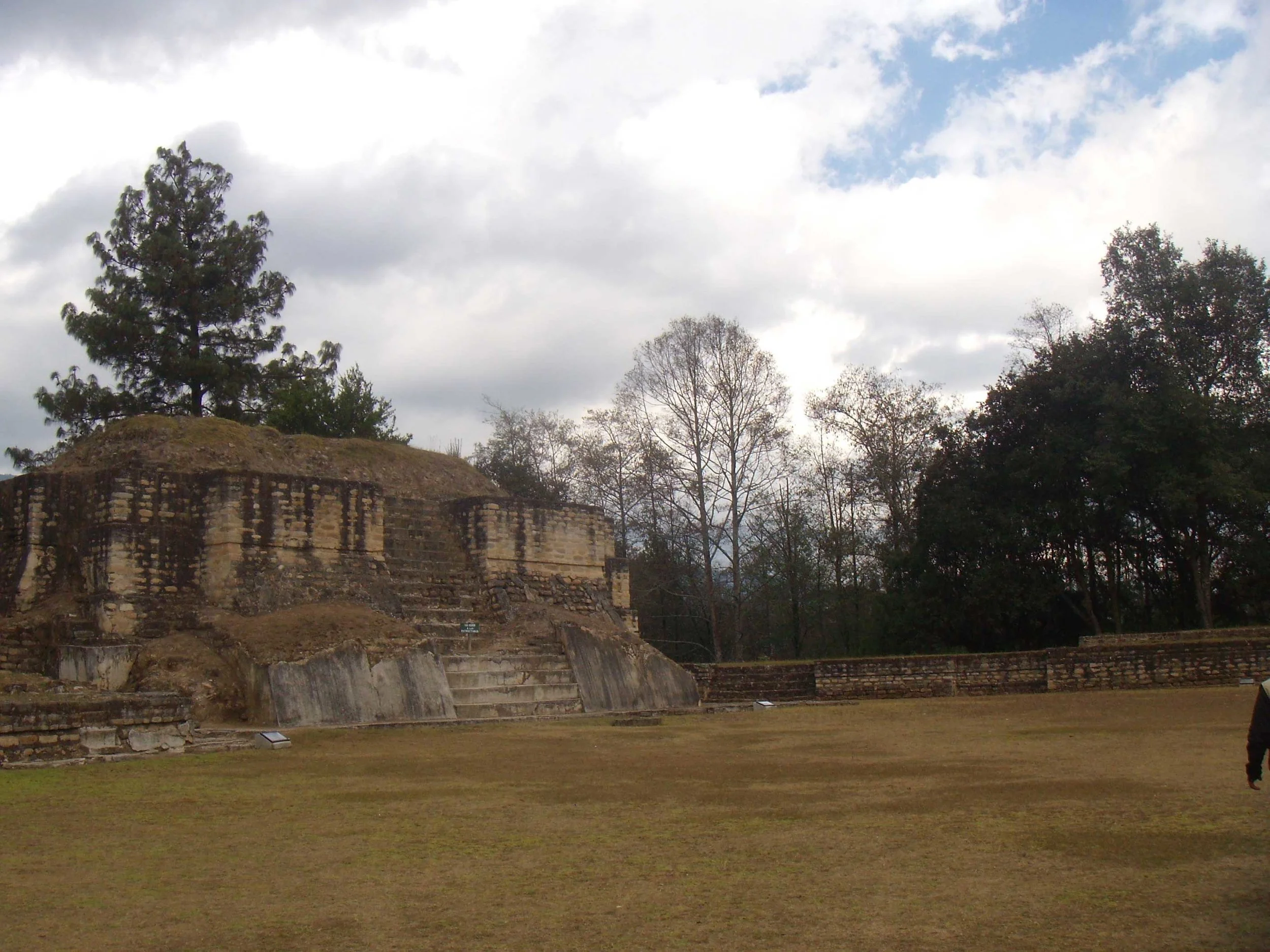 DSCN6684.jpg