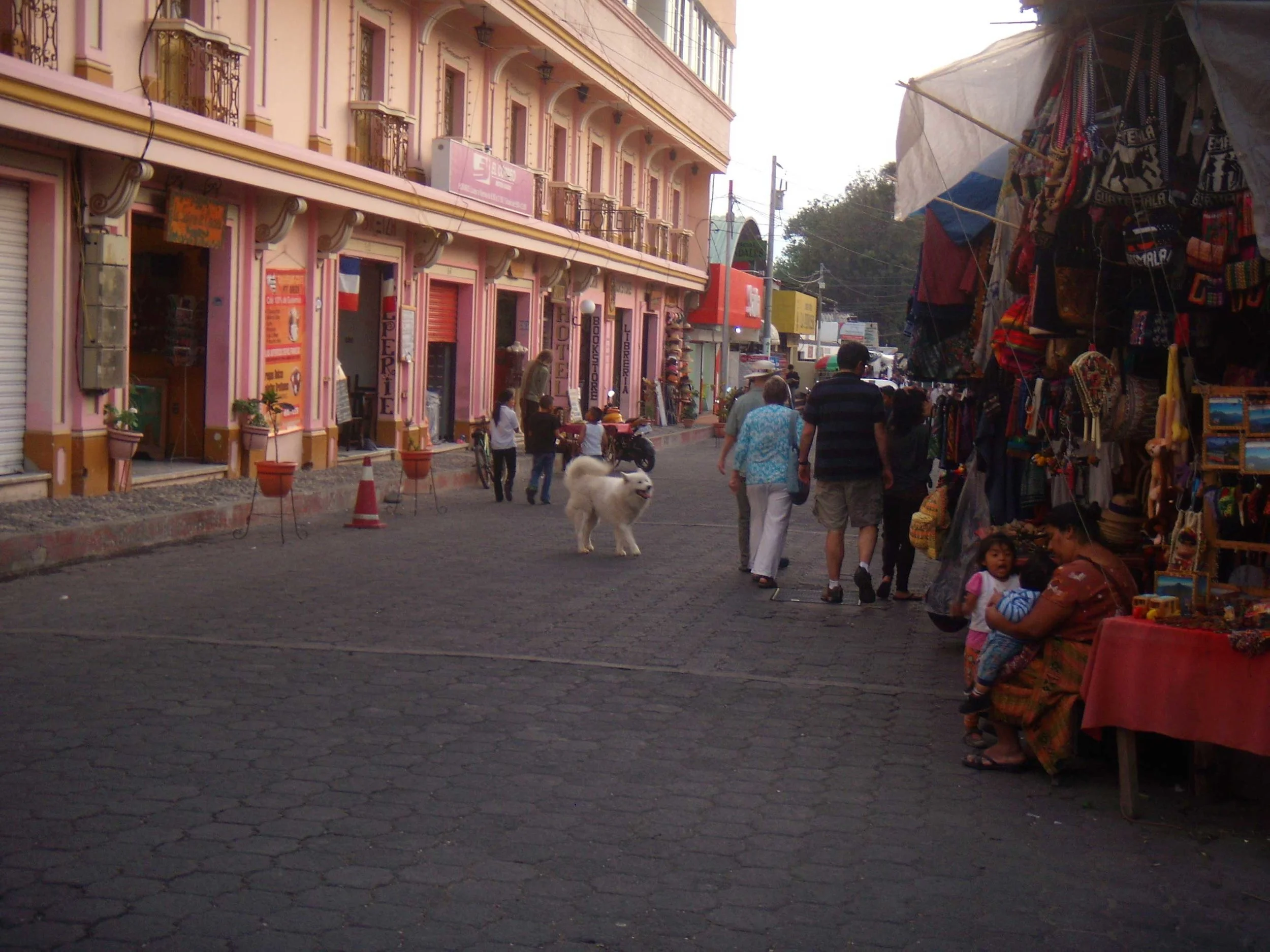 DSCN6720.jpg