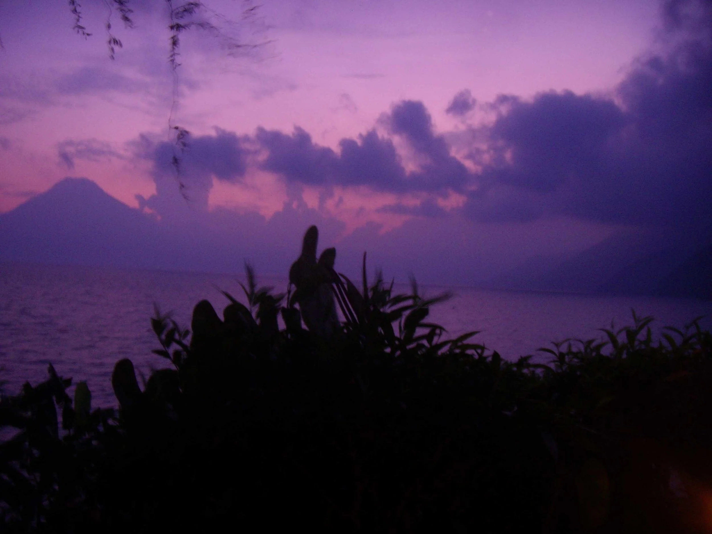 DSCN6754.jpg