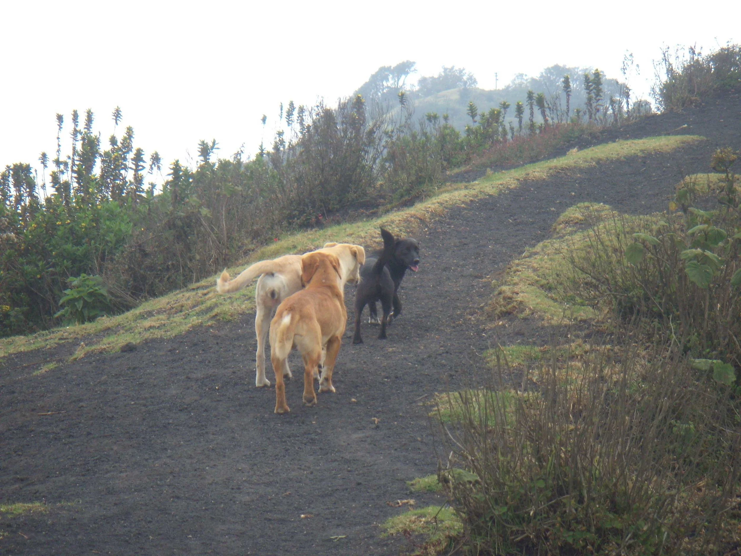 DSCN6854.jpg