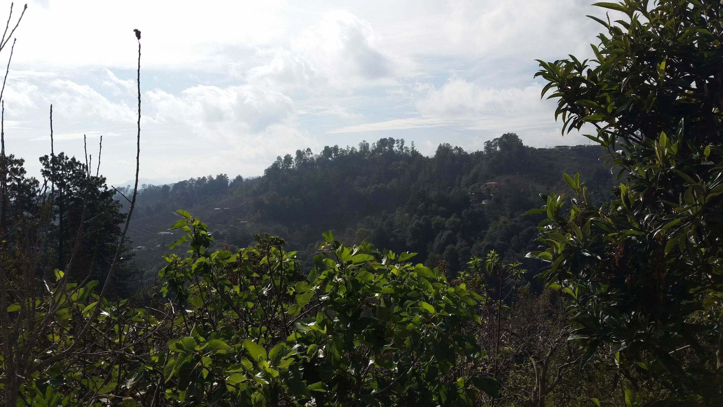 20160310_085038.jpg