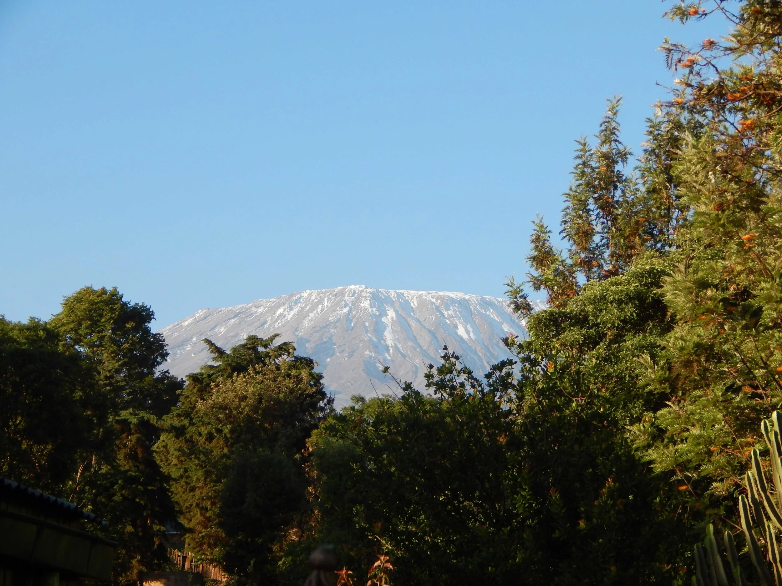 DSCN1288.jpg