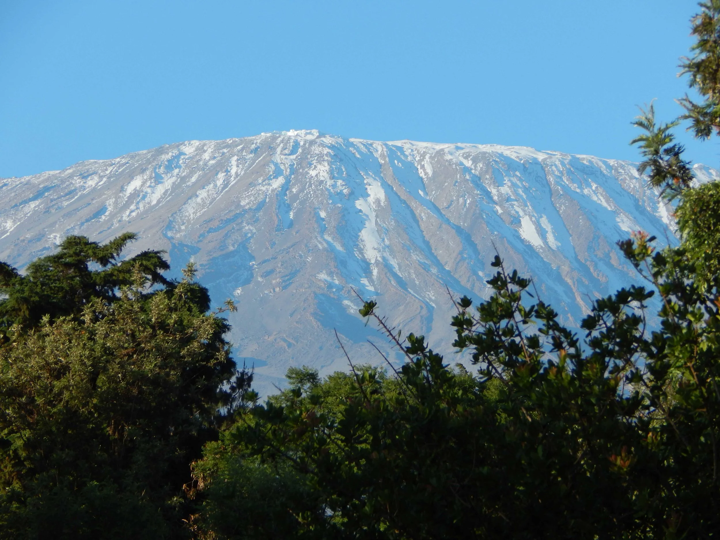 DSCN1290.jpg