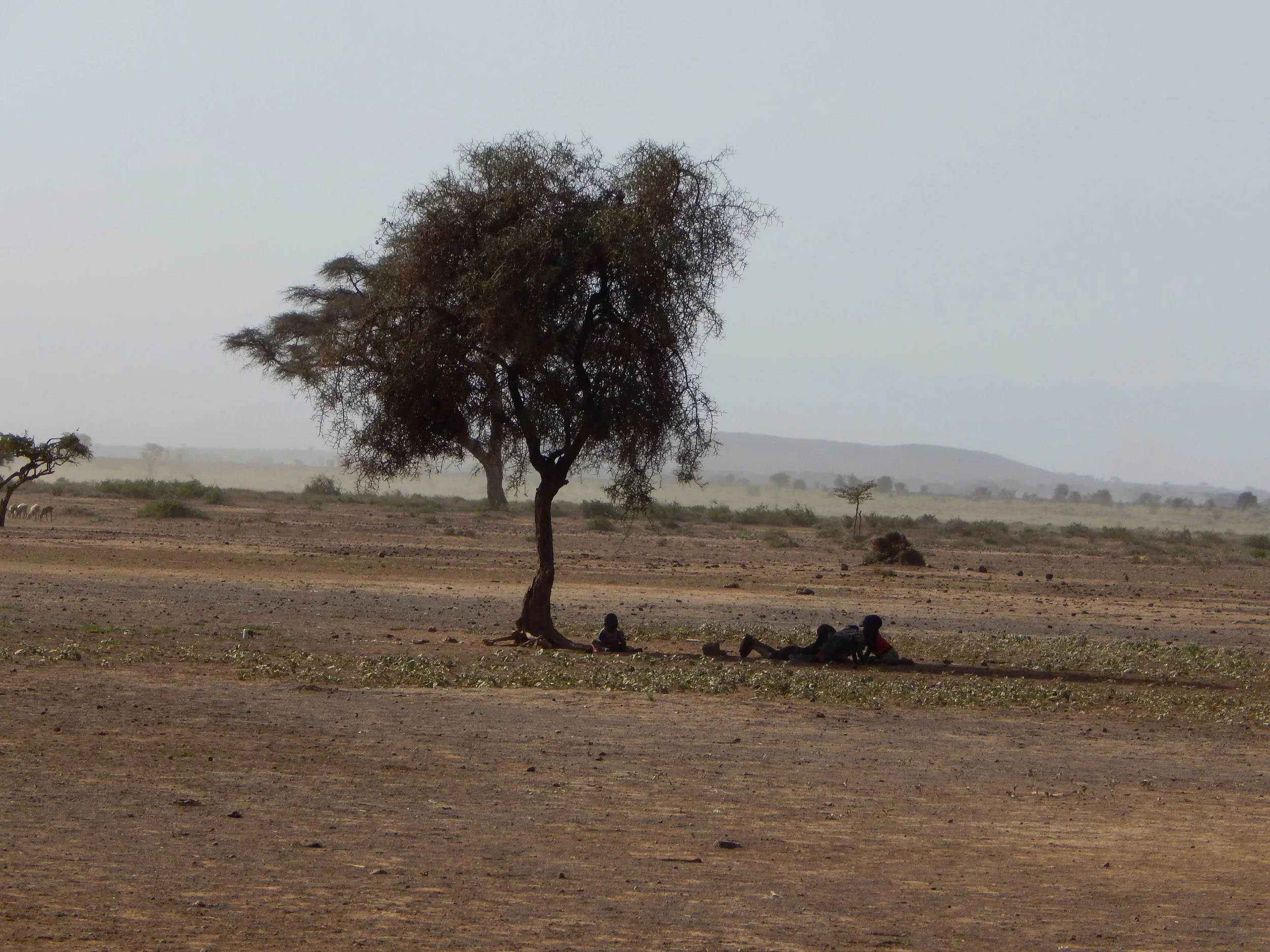 DSCN1339.jpg