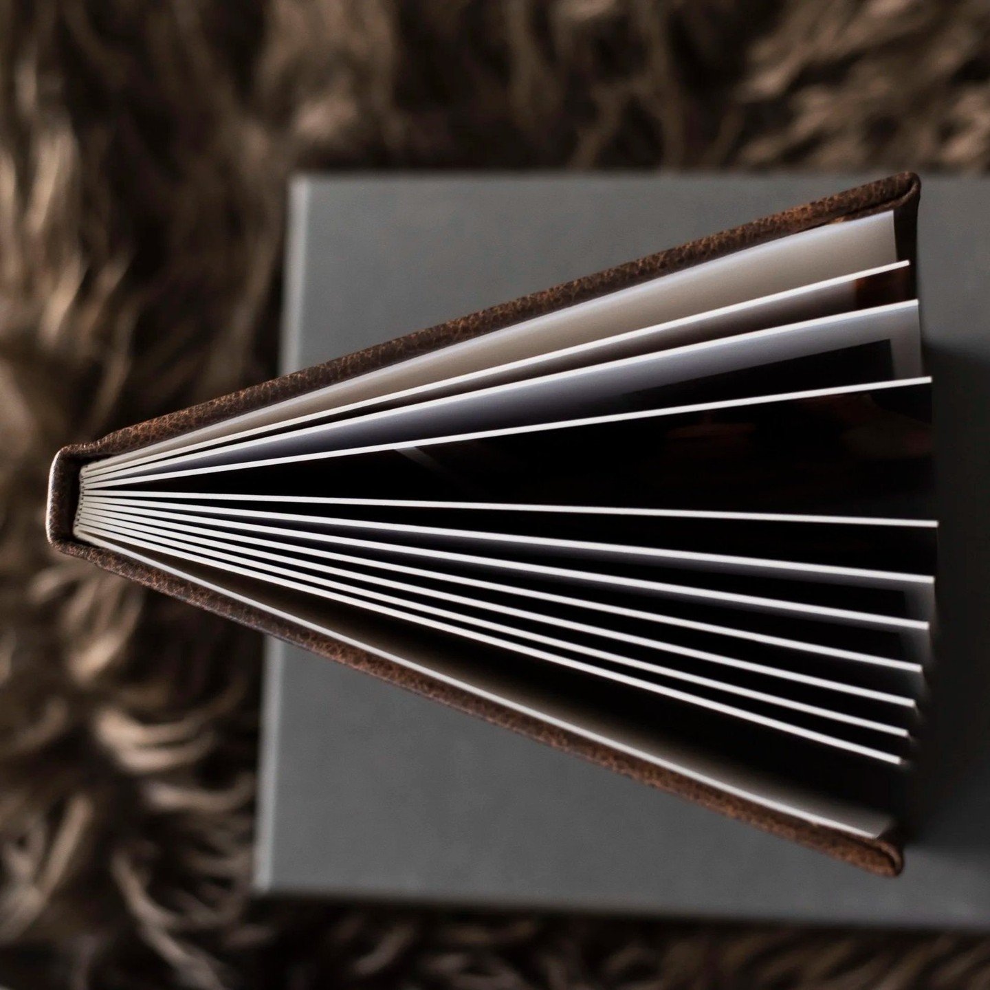 The ultimate unexpected gift Christmas morning ✨️💝🎁✨️ but getting boudoir photos is mostly for YOU. So...

If youre still putting this off, but keep coming back to the idea 
over and over
wondering what it might be like if you JUST WENT FOR IT,

Ch