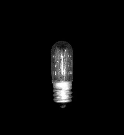 LIGHT BULB