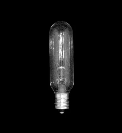 LIGHT BULB