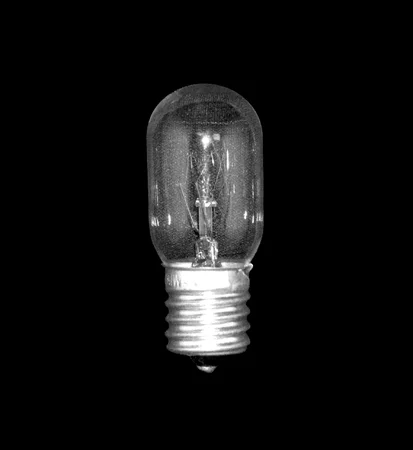 LIGHT BULB