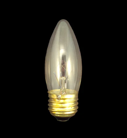 LIGHT BULB