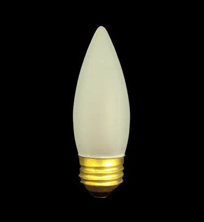 LIGHT BULB