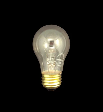 LIGHT BULB