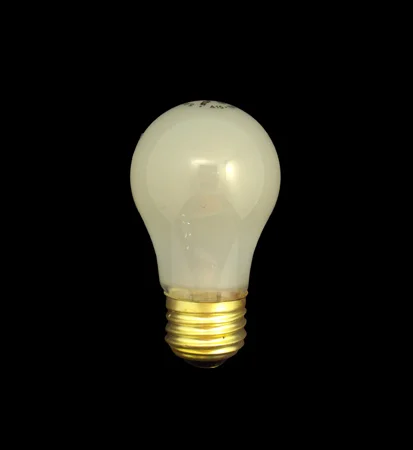 LIGHT BULB