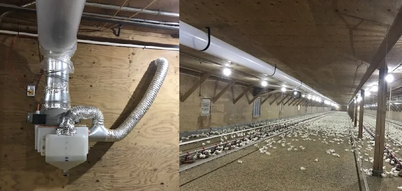  Green Pure Air system operating within a chicken broiler facility