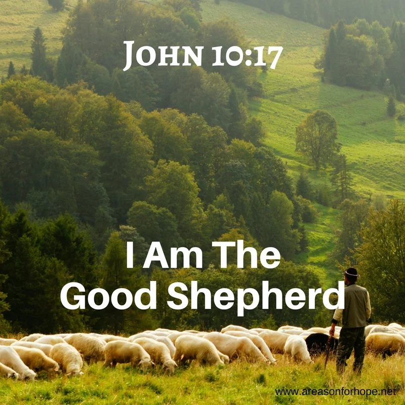 I Am The Good Shepherd - John 10:17 — A Reason for Hope with Don Patterson