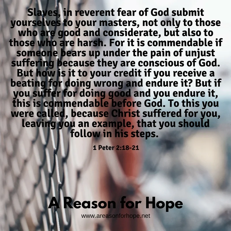 1 Peter 2-18-21.jpg