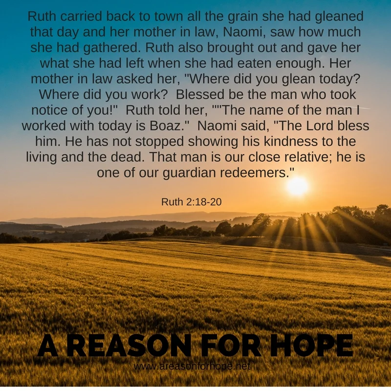 Ruth 2_18-20.jpg