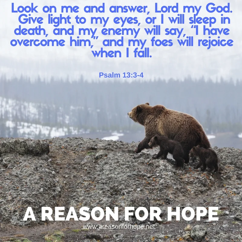 Psalm 13_3-4.jpg