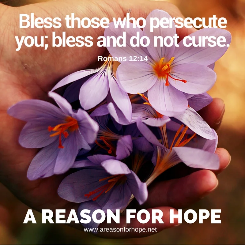 Romans 12_14.jpg