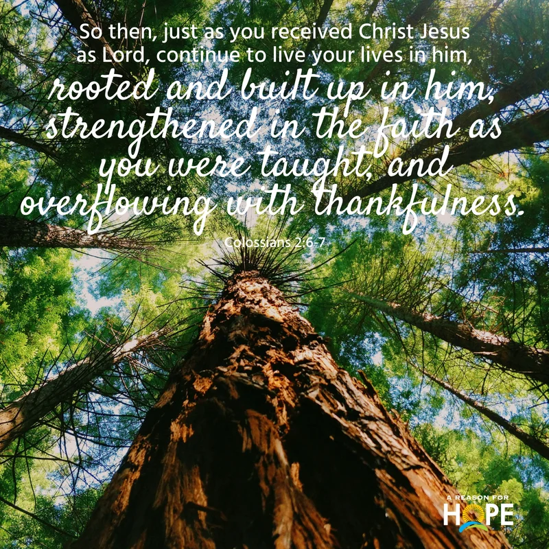 Colossians 2_6-7.jpg