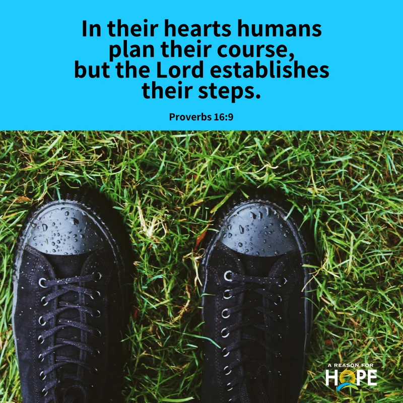 Proverbs 16_9.jpg