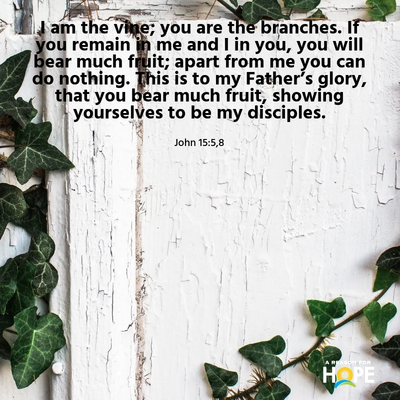 John 15_5,8.jpg