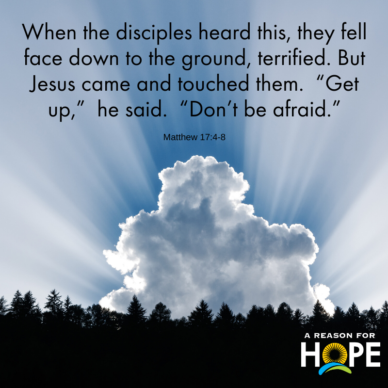 Matthew 17 4 8 A Reason For Hope With Don Patterson matthew-17-4-8-a-reason-for-hope-with-don-patterson