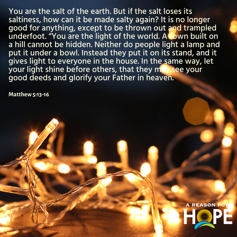 You are the salt of the earth … You are the light of the world, (Mt  5:13-16)