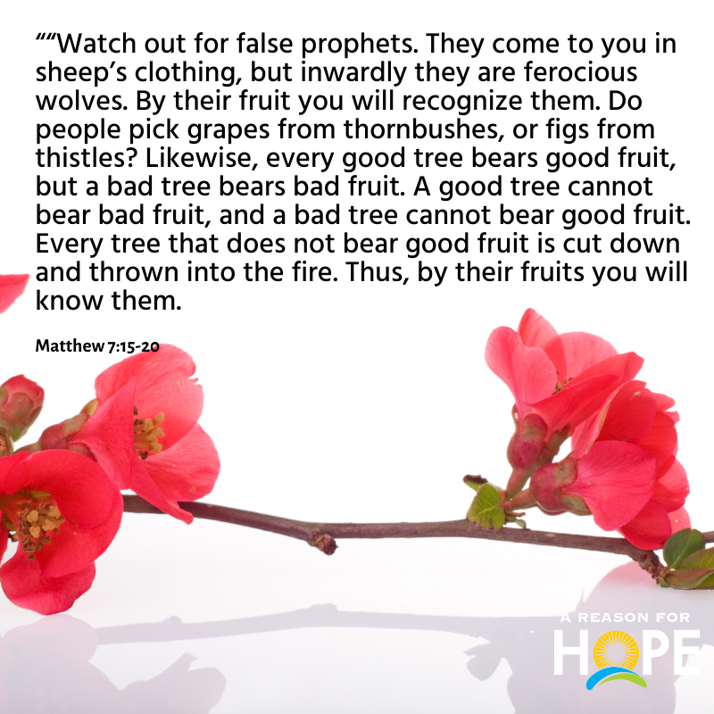 Matthew 7 15 20 A Reason For Hope With Don Patterson matthew-7-15-20-a-reason-for-hope-with-don-patterson