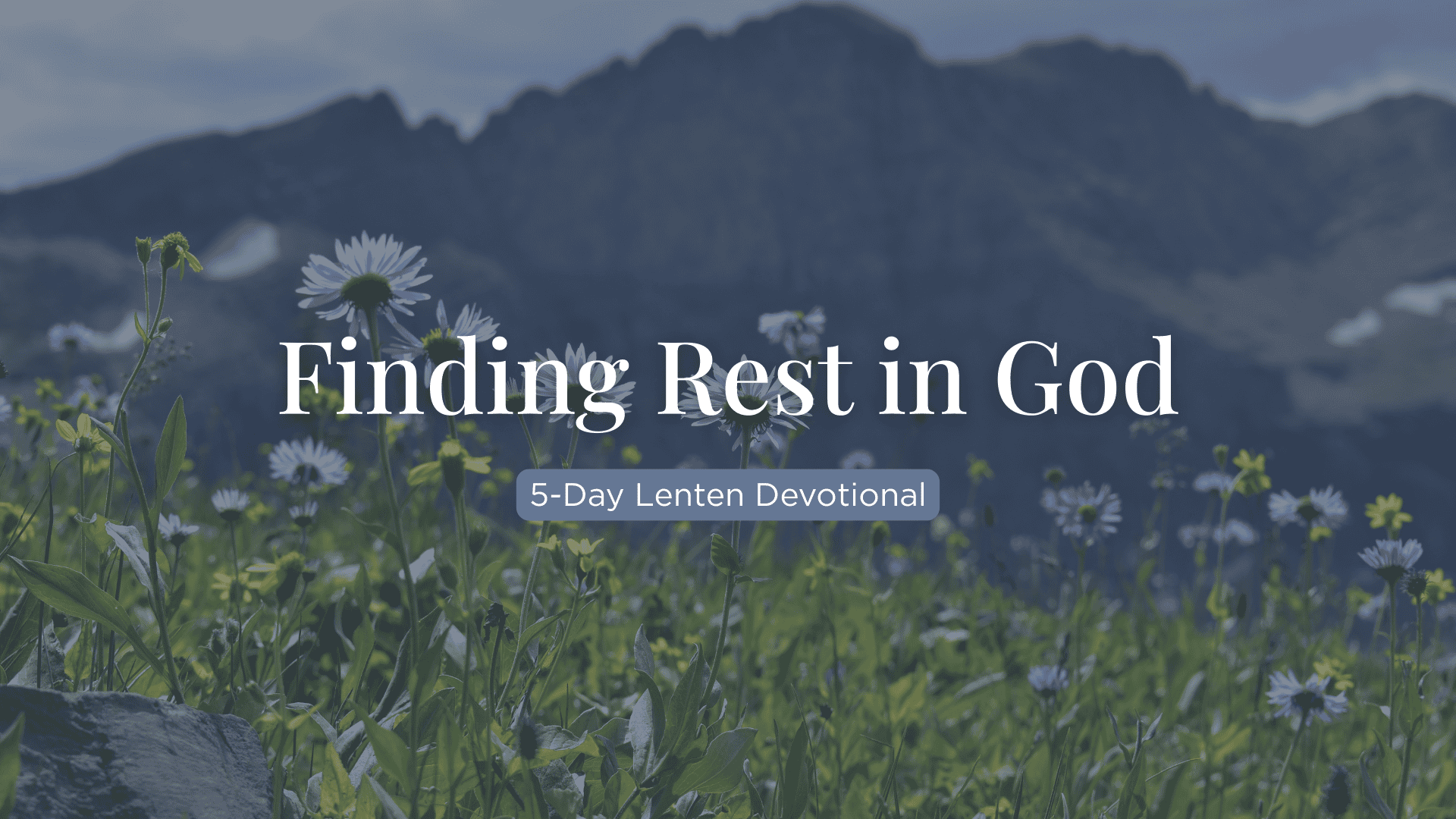 5-Day Lenten Devotional: Finding Rest in God