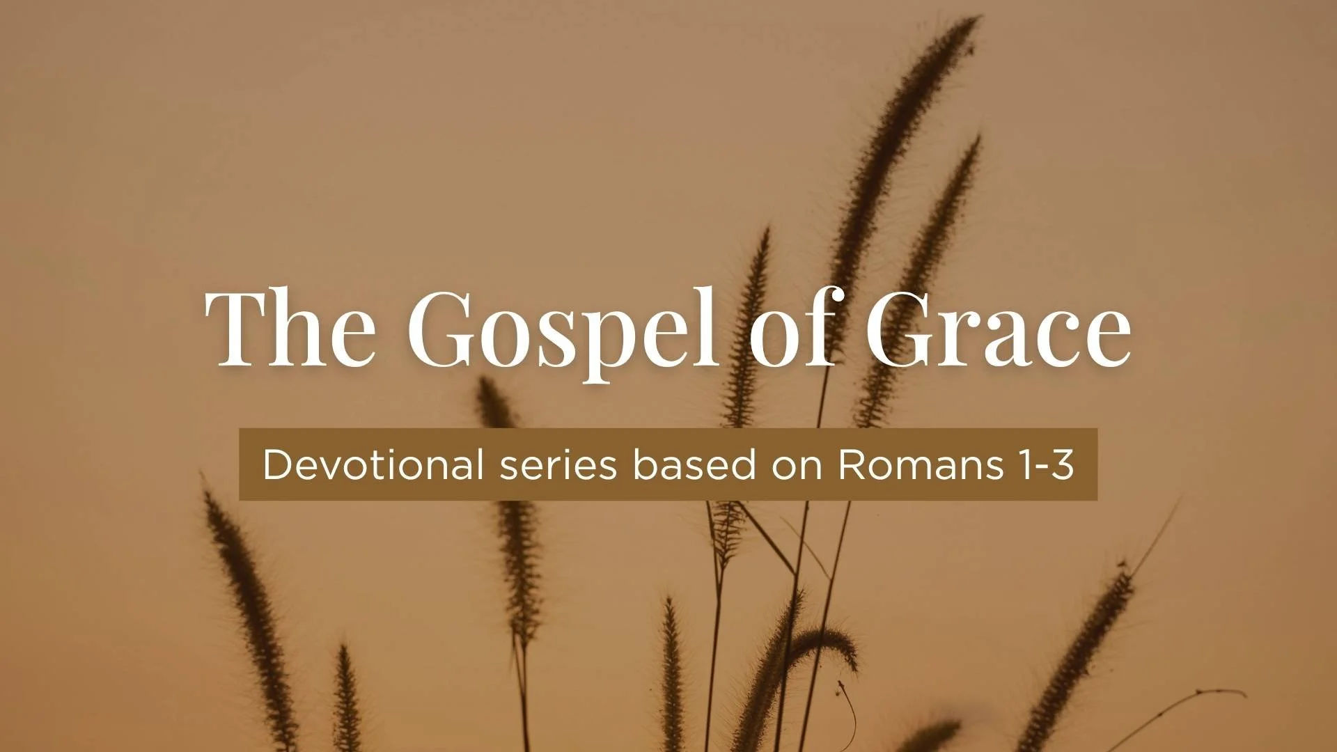 5-Day Devotional: The Gospel of Grace