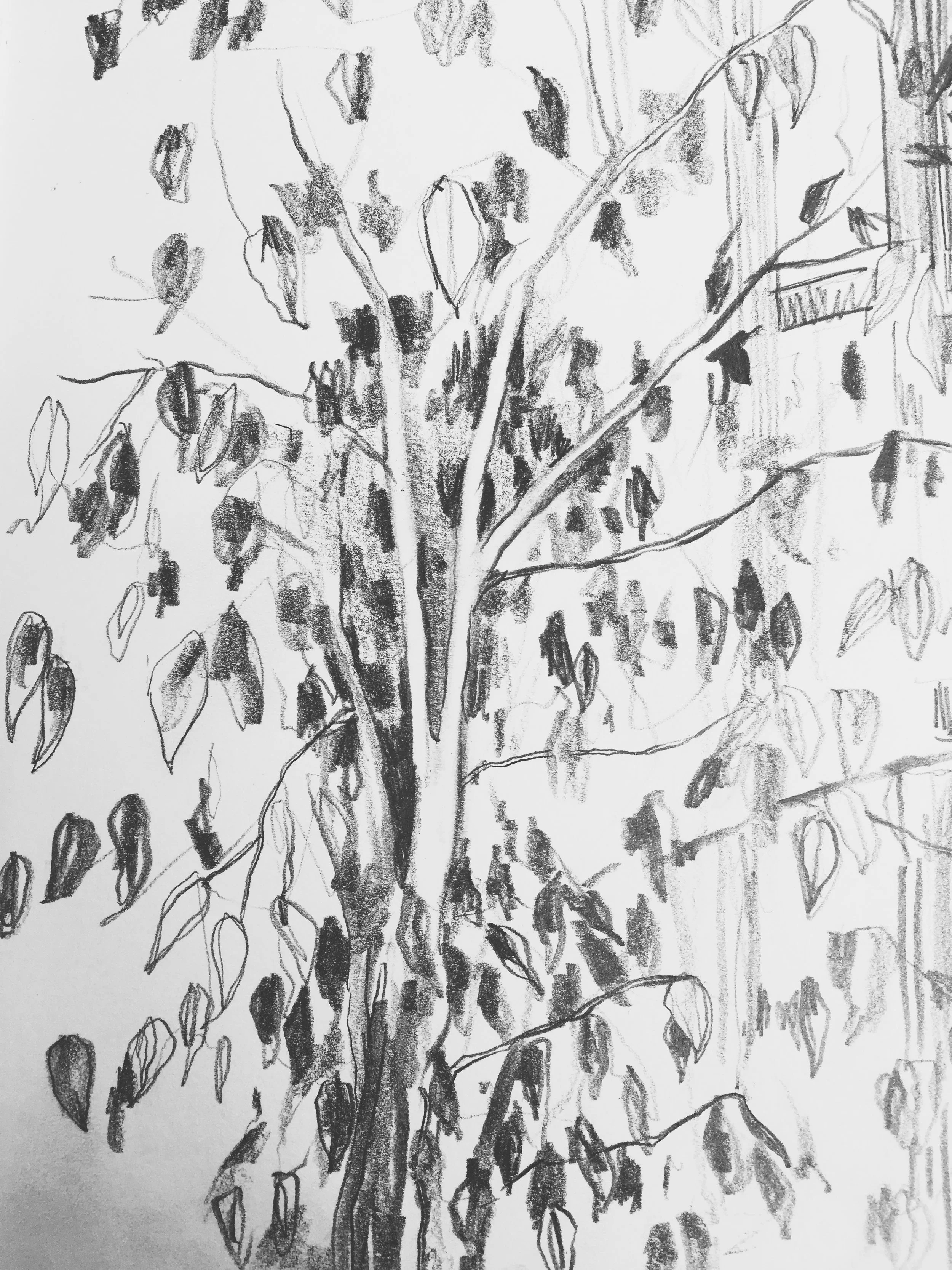 drawing 10.JPG