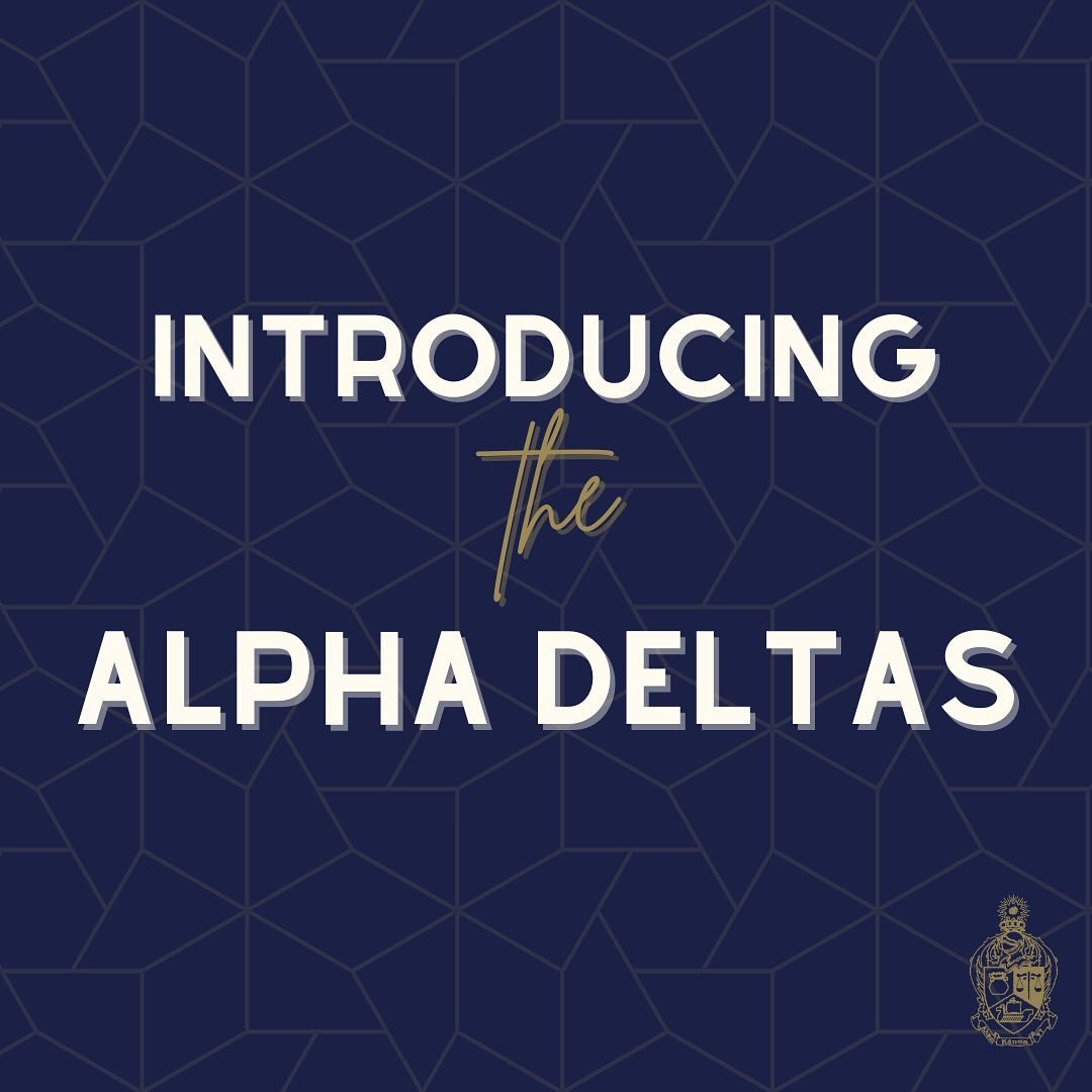 Introducing the Alpha Delta class! Swipe to see our newly crossed brothers + the future leaders of our chapter. 

Congrats to their VPM @raghavi.satya for guiding their pledge process! We can&rsquo;t wait to see all that they accomplish 💙