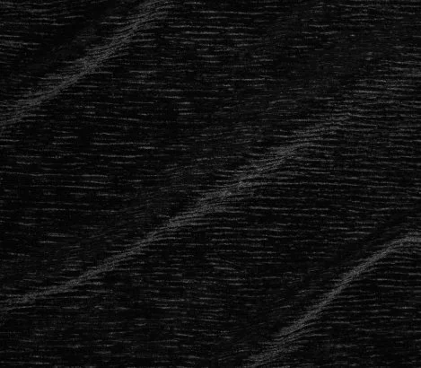 whitney - black.jpeg