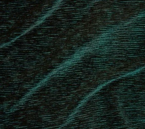 whitney - forest.jpeg