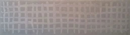 Grid (runner).jpg