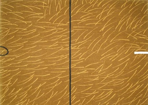 Nor Wester Grasses.jpg